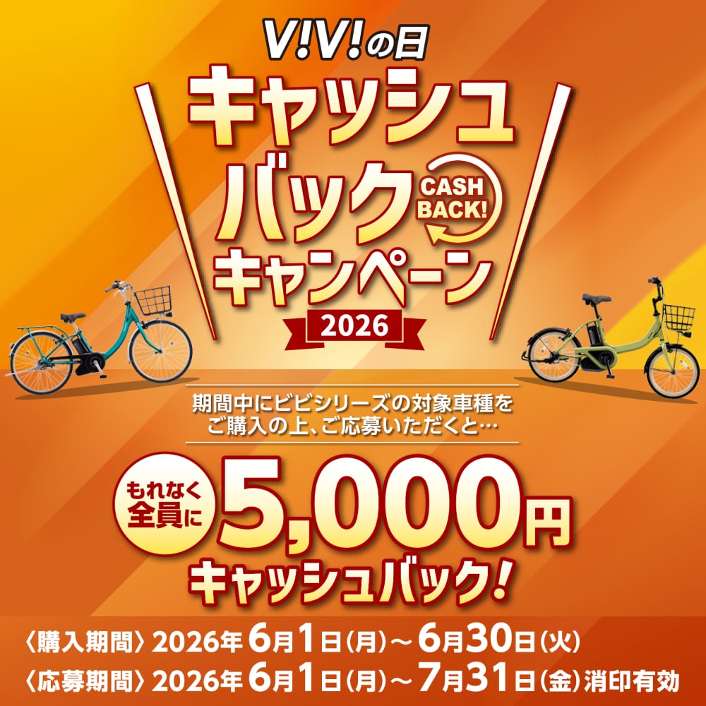 ViViの日5000円キャッシュバックキャンペーン