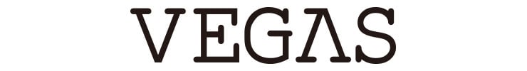 VEGAS（ベガス）「VG03T7」20インチ 3段変速 オートライト ミニベロ 自転車 -27