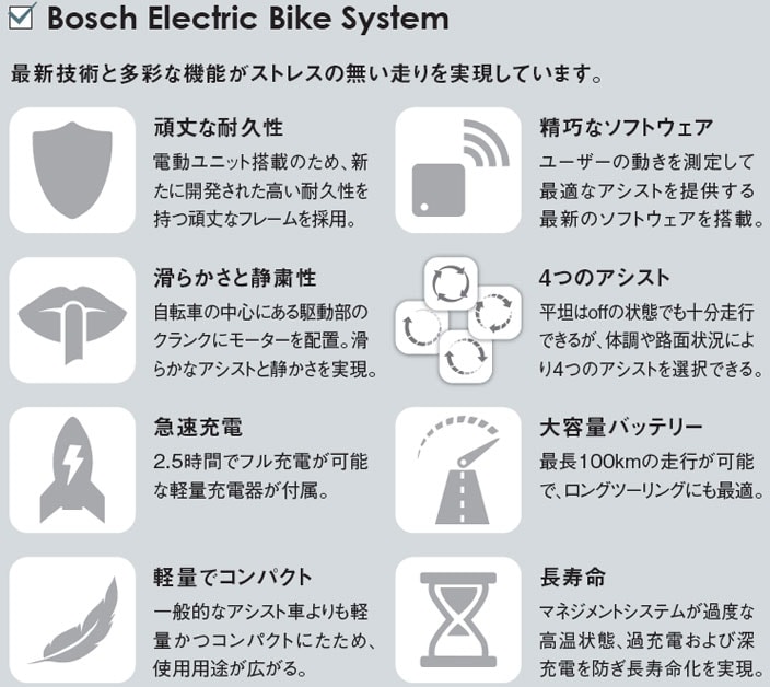2021 Vektron S10（ヴェクトロン S10）20インチ 10段変速 電動自転車 折りたたみ自転車