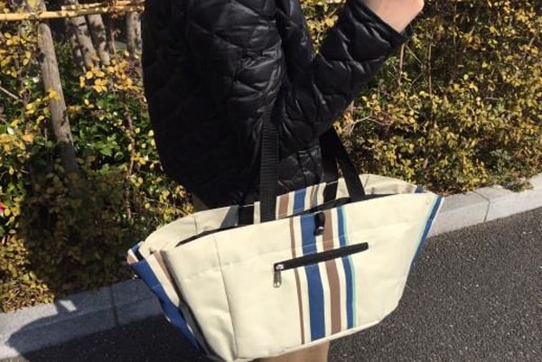 カーグスマート-L 26インチ 変速なし オートライト シティサイクル 自転車