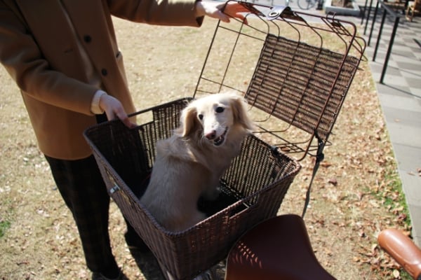 PET REAR BASKET ペットキャリーバスケット カゴ 後用