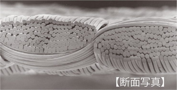 2386 ウィンドブレーカー