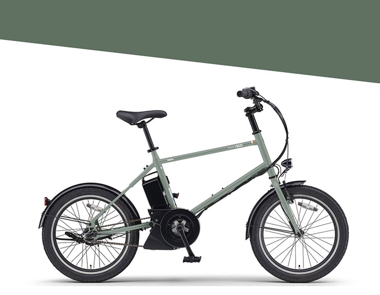 PAS CRAIG ALLEY(パス クレイグ アリー)「PA20CA」20インチ 電動自転車 -26