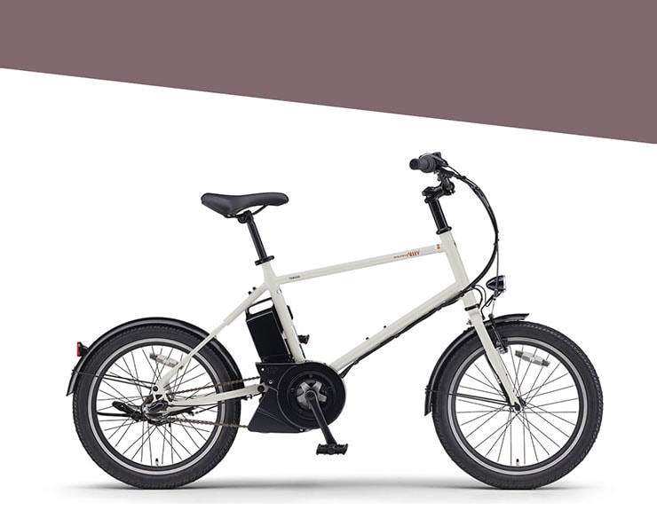 PAS CRAIG ALLEY(パス クレイグ アリー)「PA20CA」20インチ 電動自転車 -26