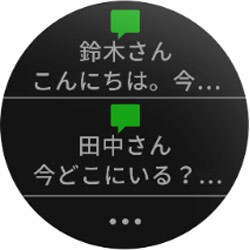 VIVOACTIVE 3 (ヴィヴォアクティブ 3)