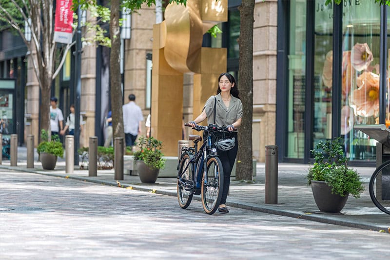 eVITA（エヴィータ）650B 9段変速 電動自転車