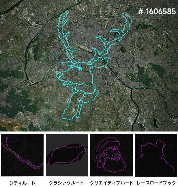 BiNavi サイクルコンピューター