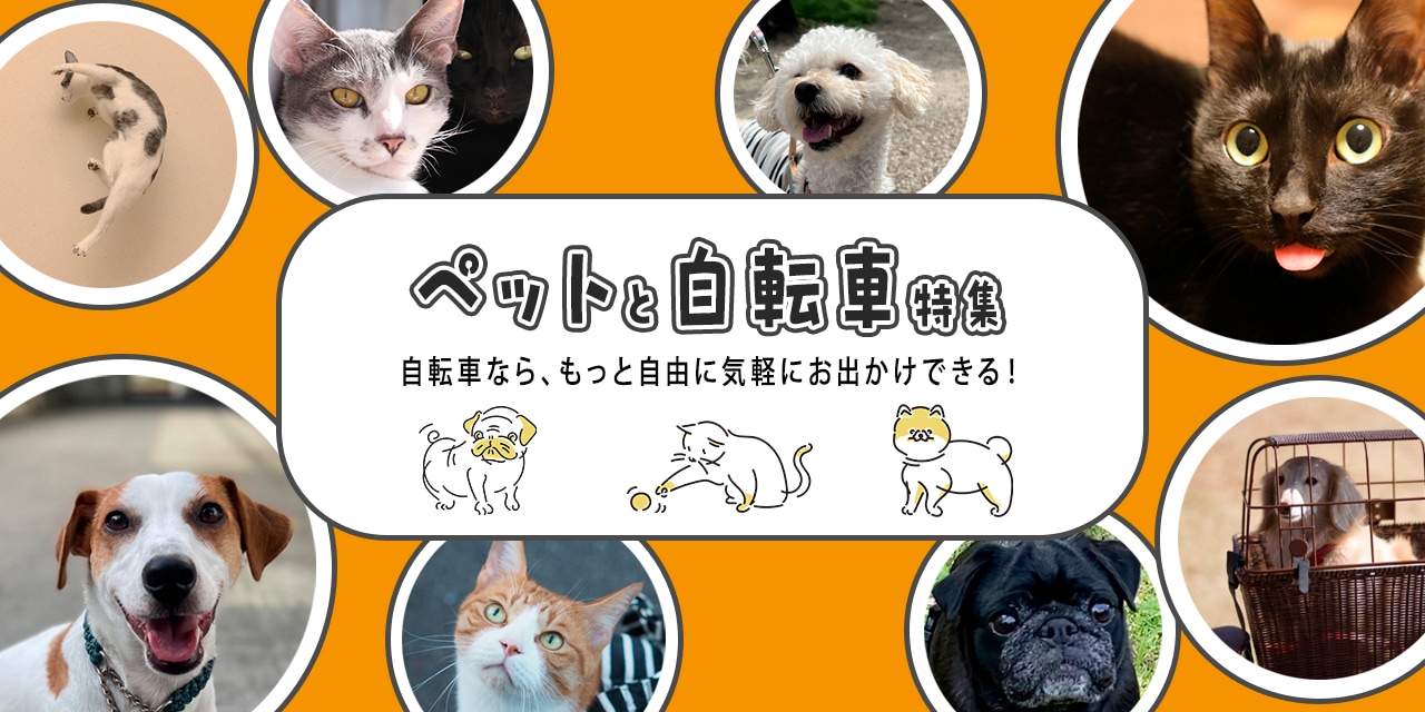 ペットと自転車特集