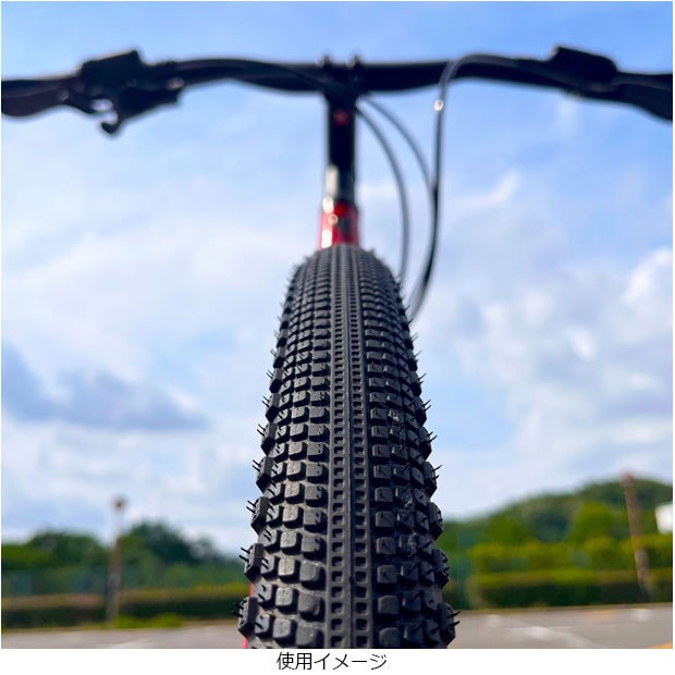 SCHWALBE G-ONE RX COMP（シュワルベ ジーワン コンプ）700x50C