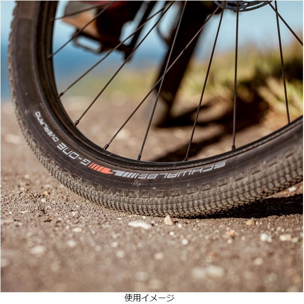 SCHWALBE G-ONE OVERLAND（シュワルベ ジーワン オーバーランド