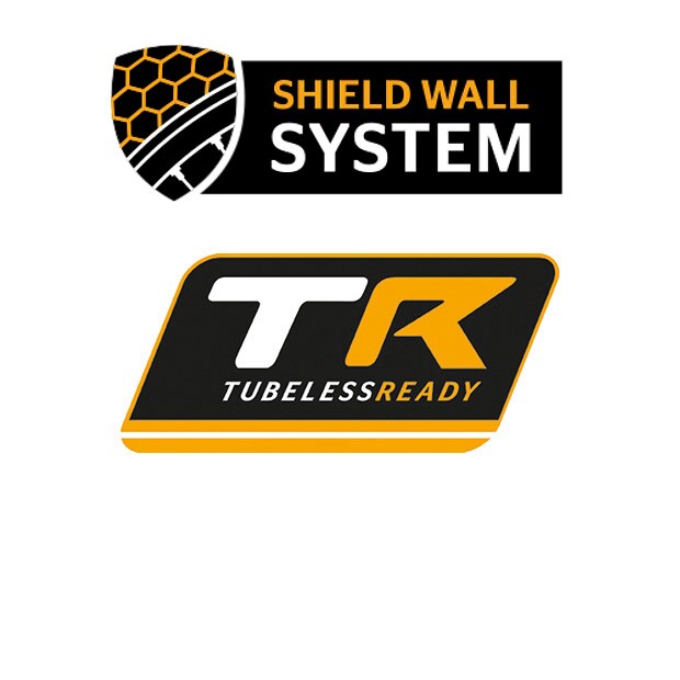 Race King Shieldwall レース キング シールドウォール 29x2 00 アラミドビード