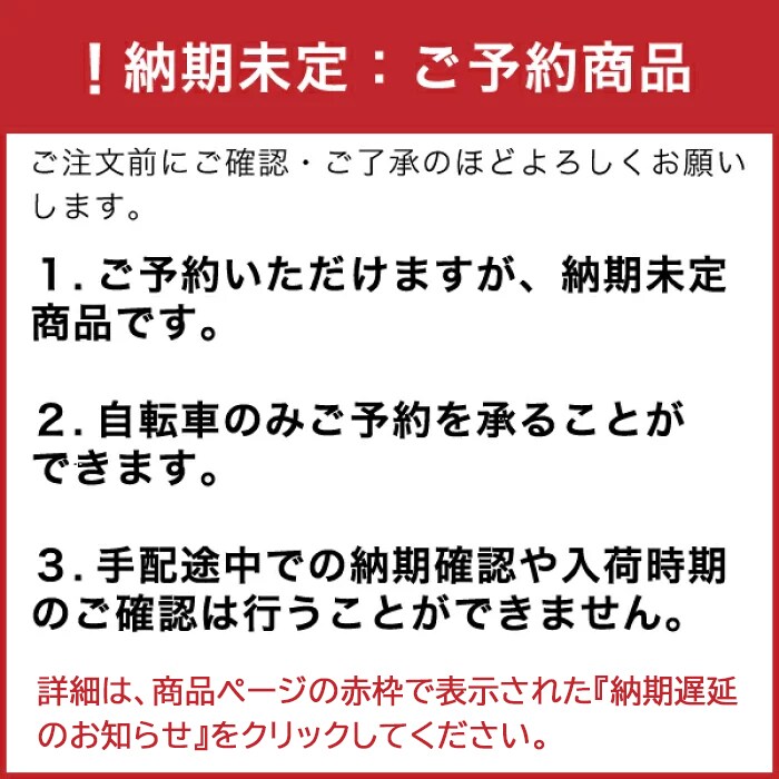 baaのついていない自転車 過酷なテスト