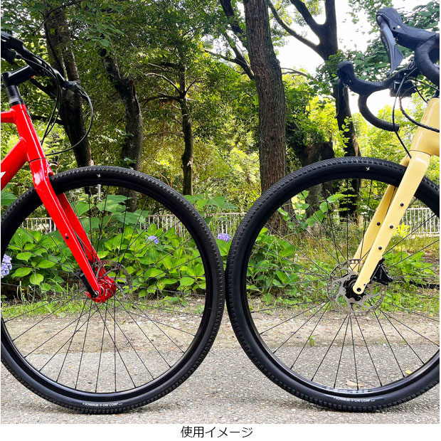 シュワルベ G-ONE RX TLR 完成車外し 2個セット SCHWALBE G-ONE RX COMP（シュワルベ ジーワン コンプ）700x45C