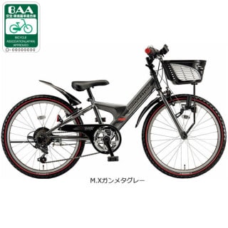 エクスプレスジュニア「EXJ25」22インチ 6段変速 ダイナモライト 子供