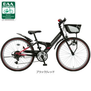 エクスプレスジュニア「EXJ25」22インチ 6段変速 ダイナモライト 子供
